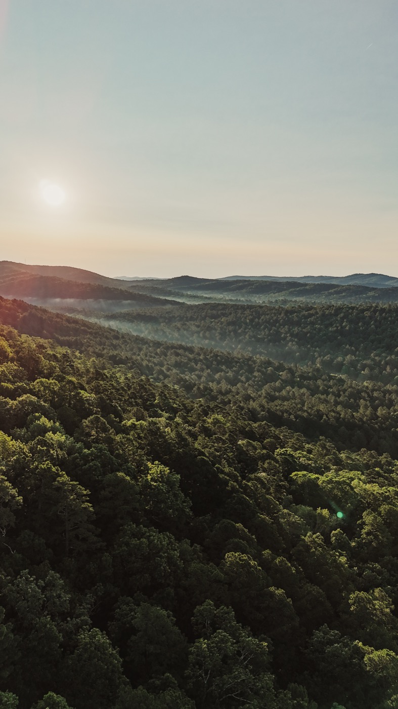 Aerial sunrise view over the forest ridge
